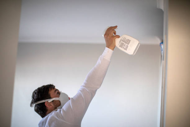 Best Same-Day Mold Removal  in Machesney Park, IL