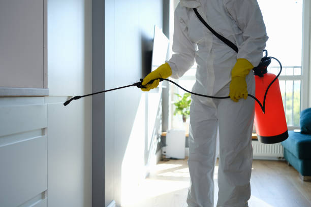 Best Mold Testing  in Machesney Park, IL