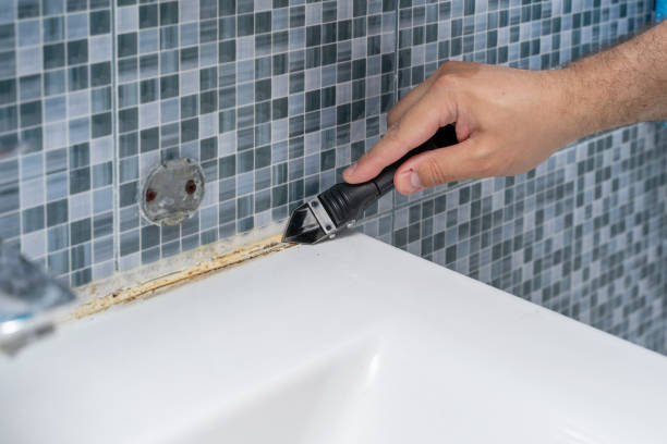 Best Mold Remediation  in Machesney Park, IL