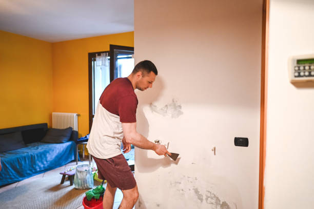 Best Mold Cleaning Services  in Machesney Park, IL